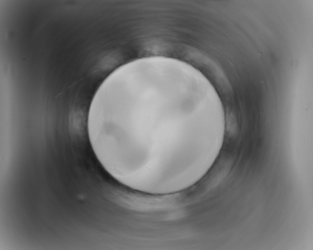 X0000086920036200705141731