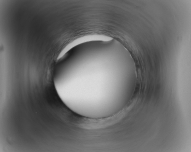 X0000086920037200705141731