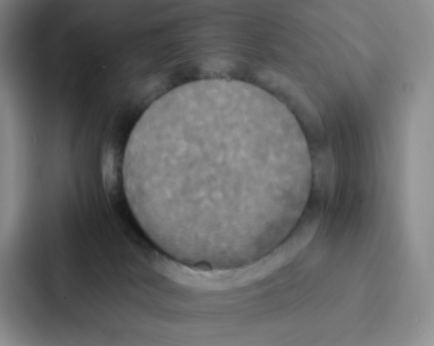 X0000086920038200705141731