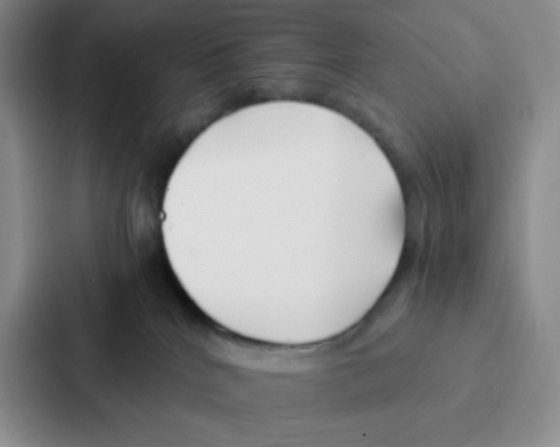 X0000086920040200705141731