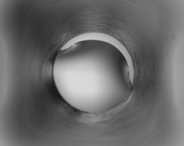 X0000086920041200705141731