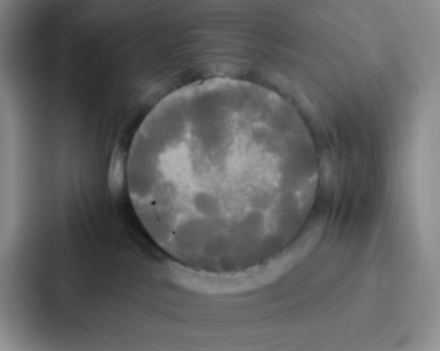 X0000086920042200705141731
