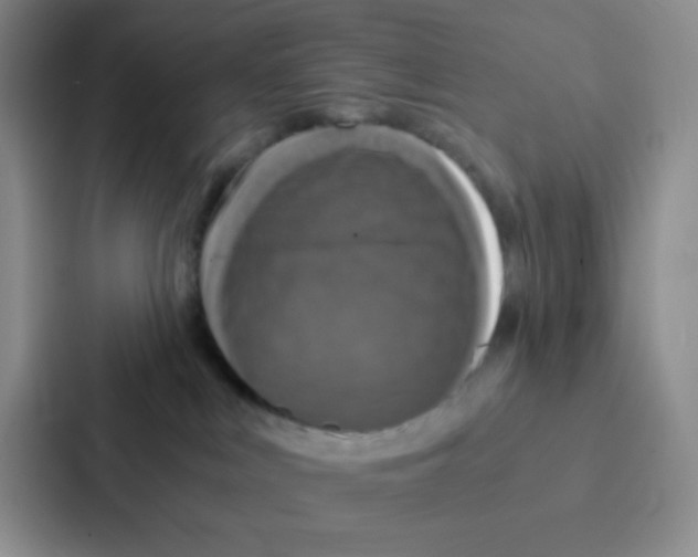 X0000086920043200705141731
