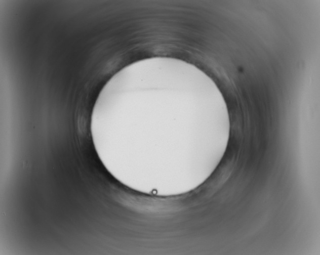 X0000086920044200705141731
