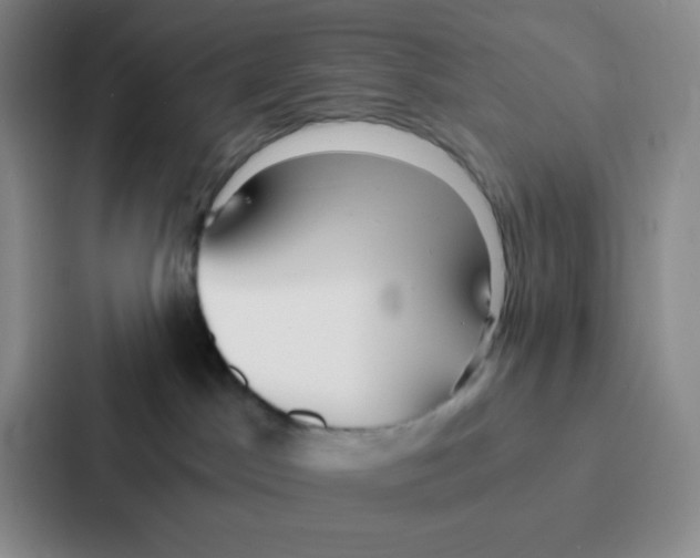 X0000086920045200705141731