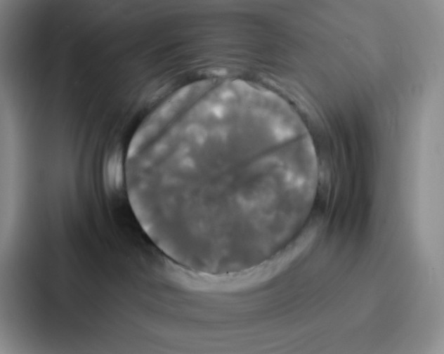 X0000086920046200705141731
