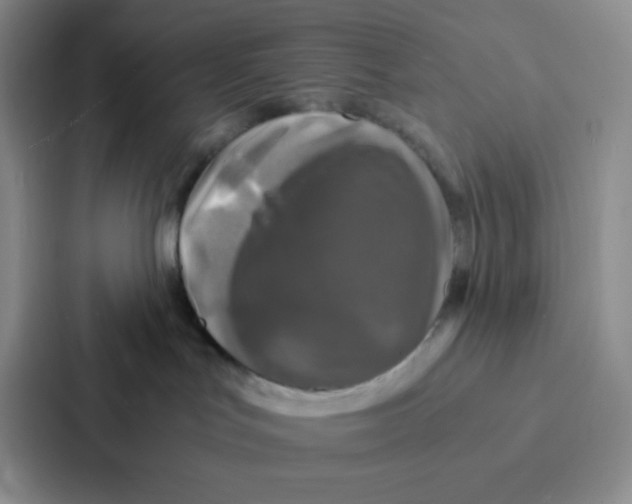 X0000086920047200705141731