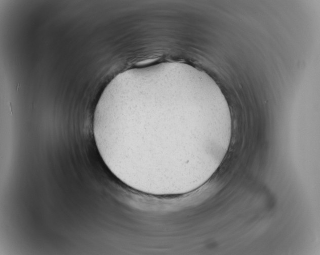 X0000086920048200705141731