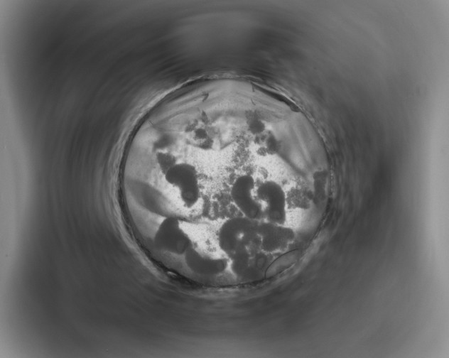X0000086920049200705141730