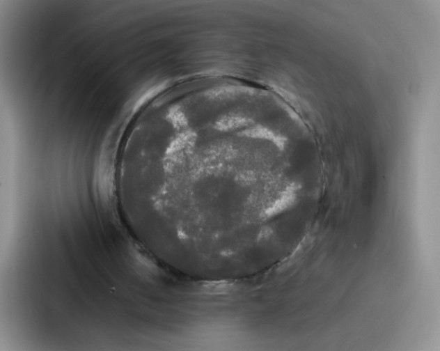 X0000086920050200705141730