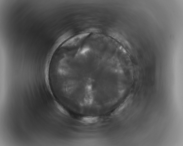 X0000086920051200705141730