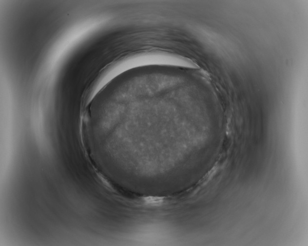 X0000086920052200705141730