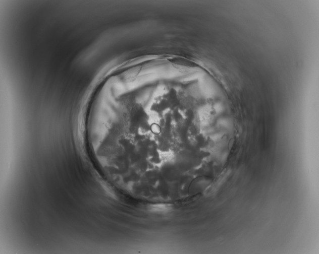 X0000086920053200705141730