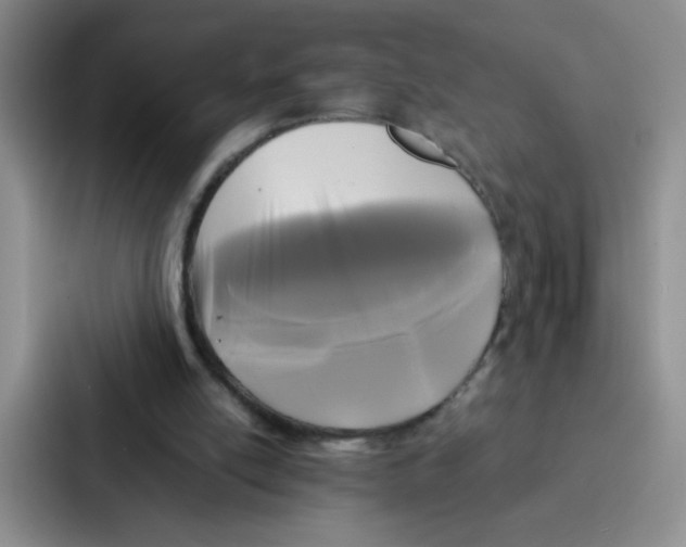 X0000086920054200705141730