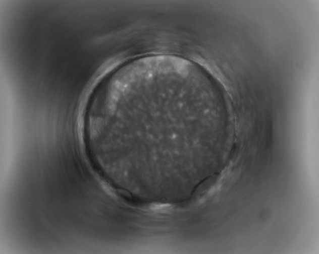 X0000086920055200705141730