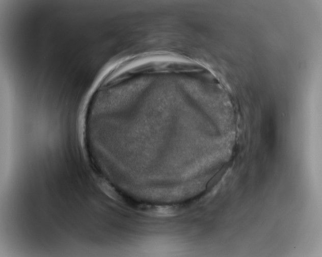 X0000086920056200705141730