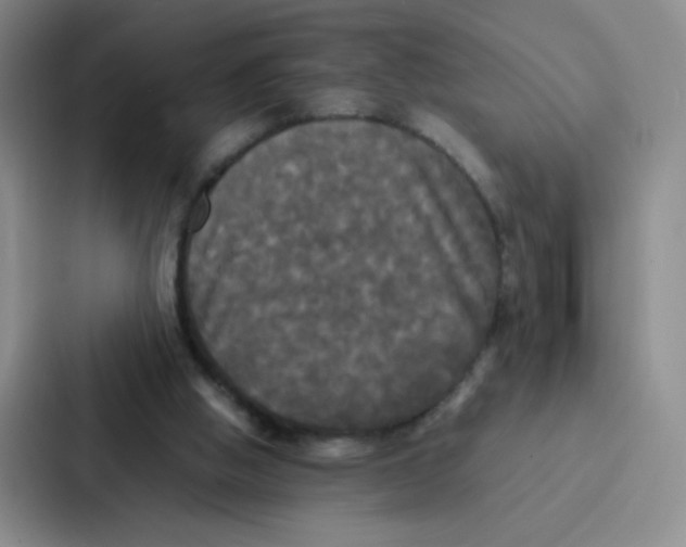 X0000086920058200705141730