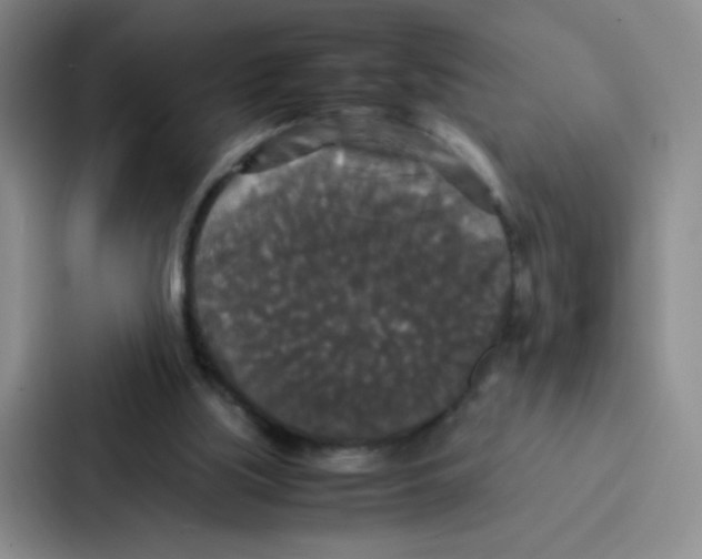 X0000086920059200705141730