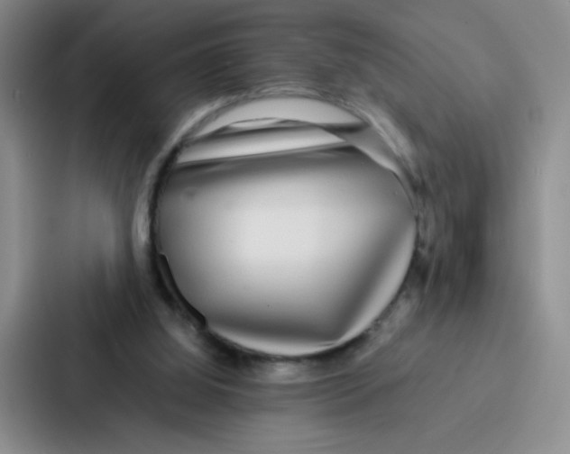 X0000086920060200705141730