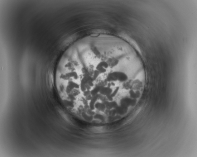 X0000086920061200705141730