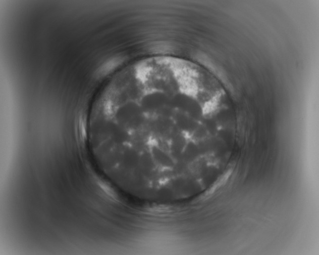 X0000086920062200705141730