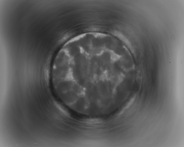 X0000086920063200705141730
