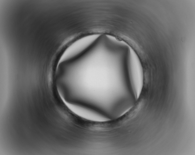 X0000086920064200705141730