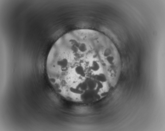 X0000086920065200705141730