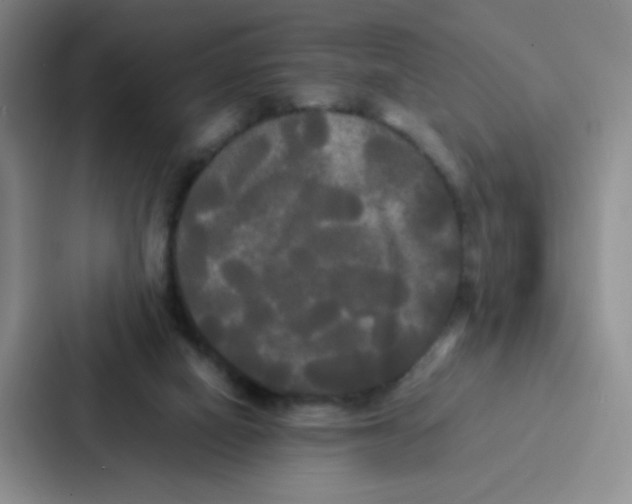 X0000086920066200705141730