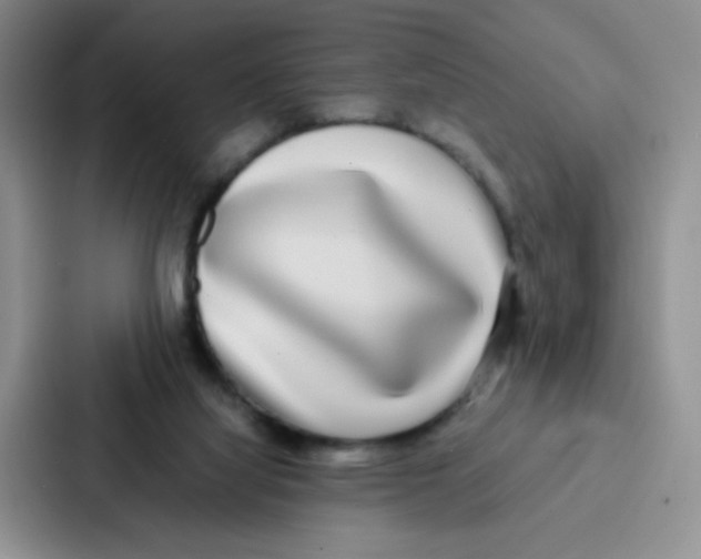 X0000086920068200705141730