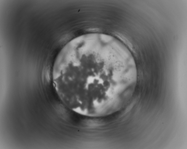 X0000086920069200705141731