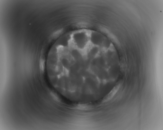 X0000086920070200705141731