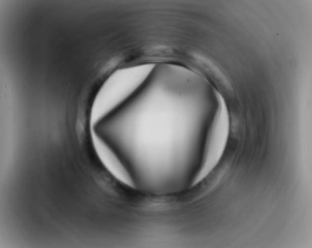 X0000086920072200705141731