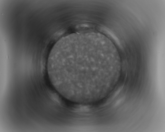 X0000086920073200705141731