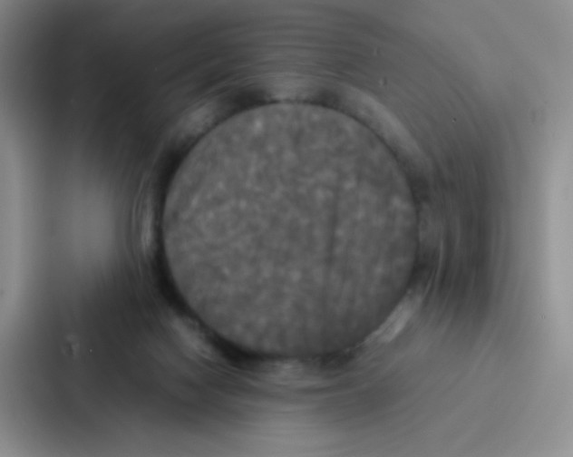 X0000086920074200705141731