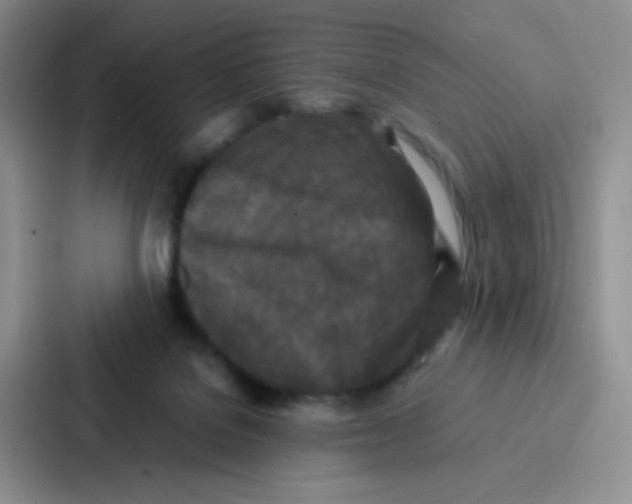 X0000086920076200705141731