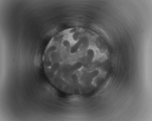 X0000086920077200705141731