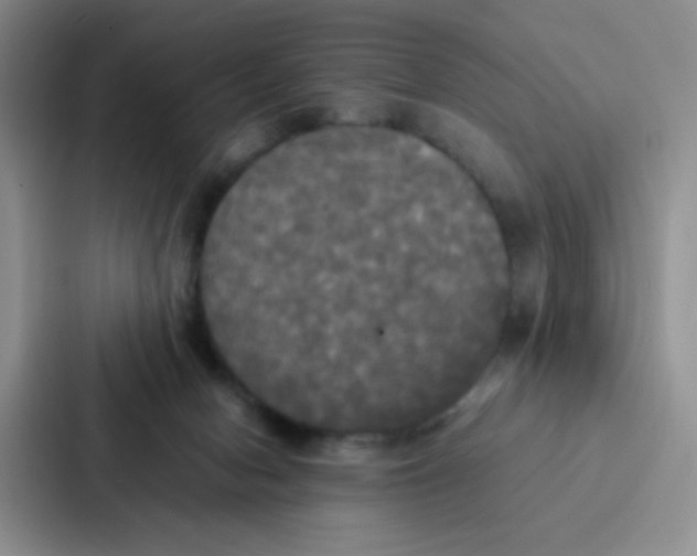 X0000086920078200705141731