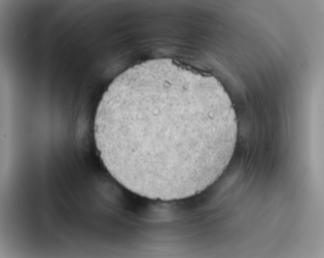 X0000086920079200705141731