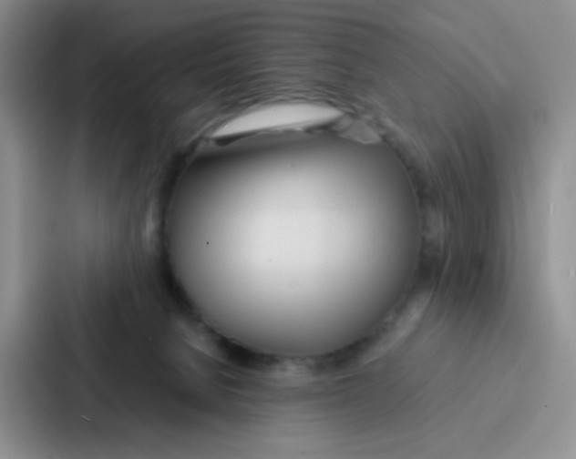 X0000086920080200705141731