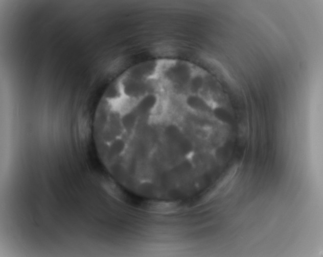 X0000086920081200705141731