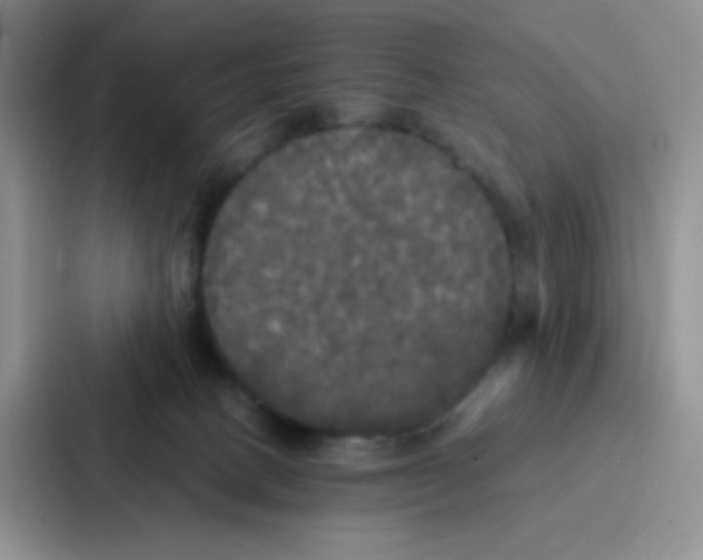 X0000086920082200705141731