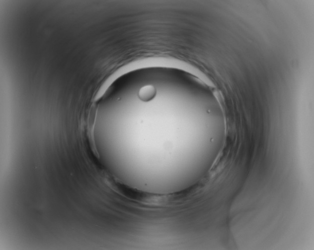 X0000086920084200705141731