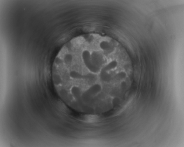 X0000086920085200705141731