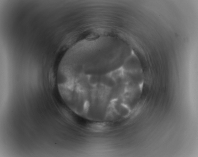 X0000086920086200705141731