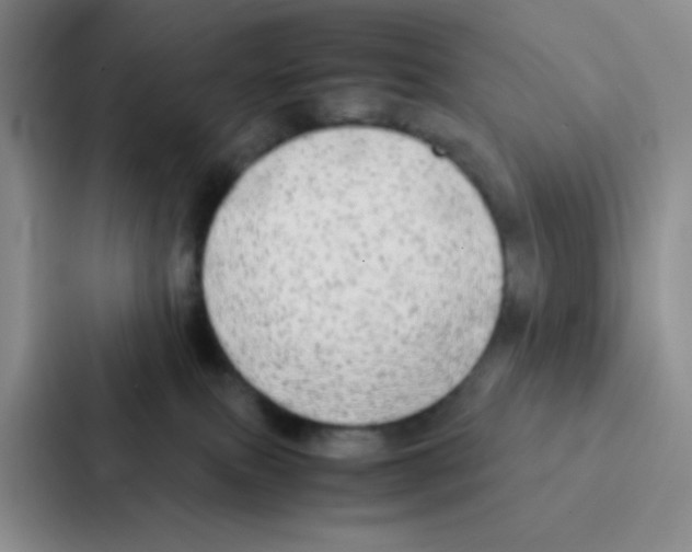 X0000086920087200705141731