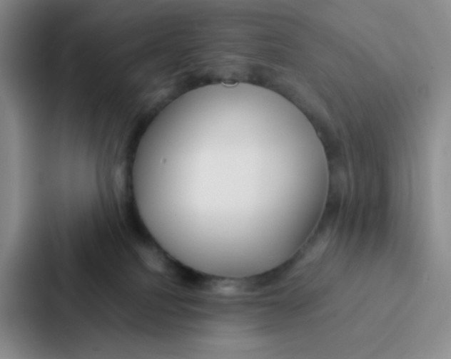 X0000086920088200705141731
