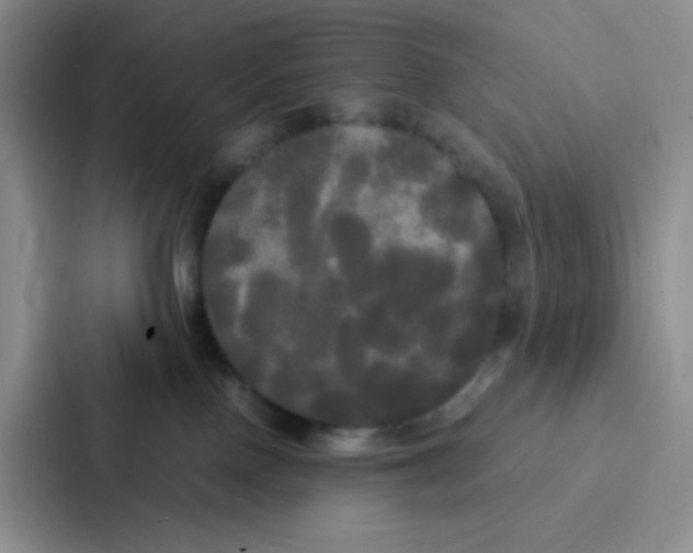 X0000086920090200705141731