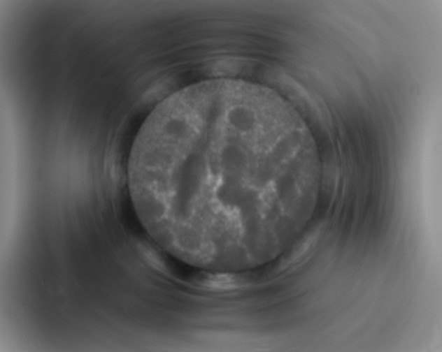 X0000086920091200705141731