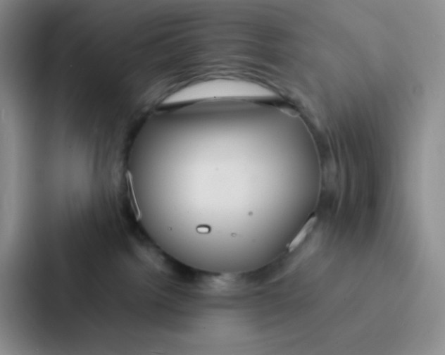 X0000086920092200705141731